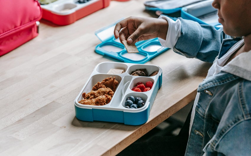 School Lunchbox